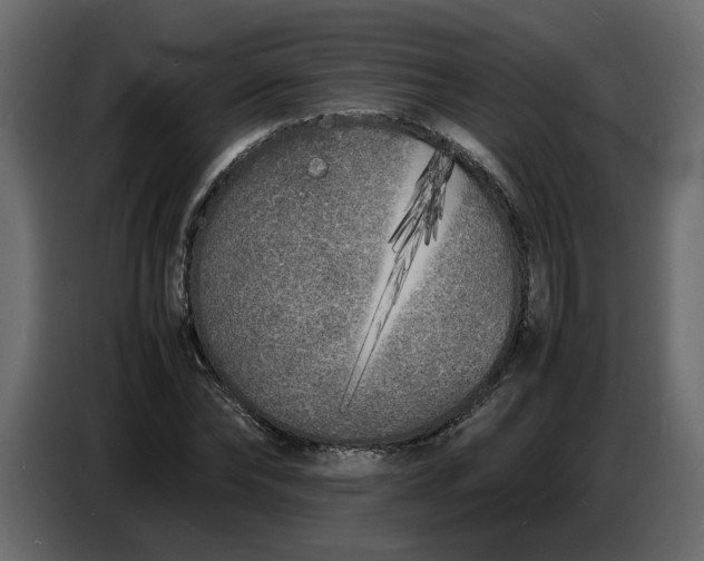 X0000086910878200705071301