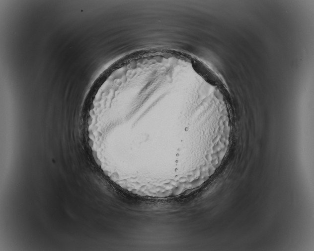 X0000086910879200705071301