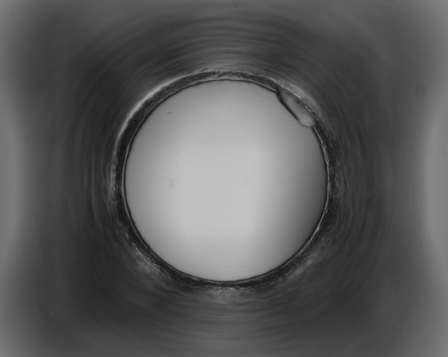 X0000086910880200705071301