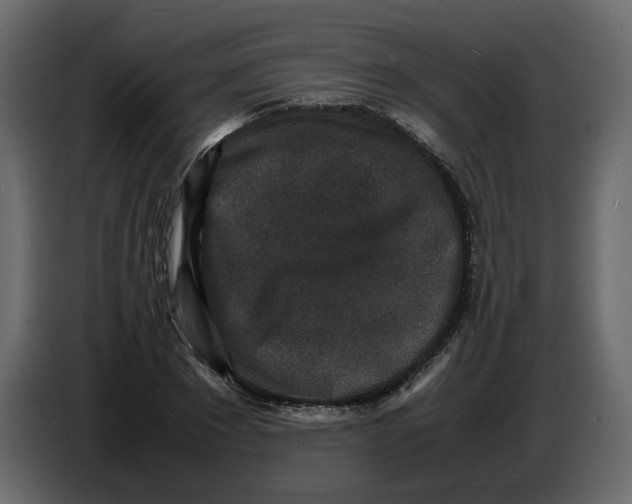 X0000086910881200705071301