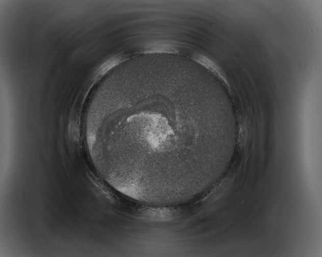 X0000086910882200705071301