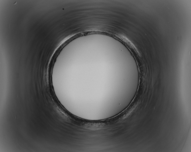 X0000086910884200705071301