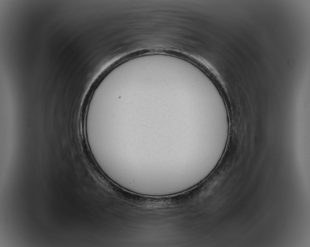 X0000086910887200705071301