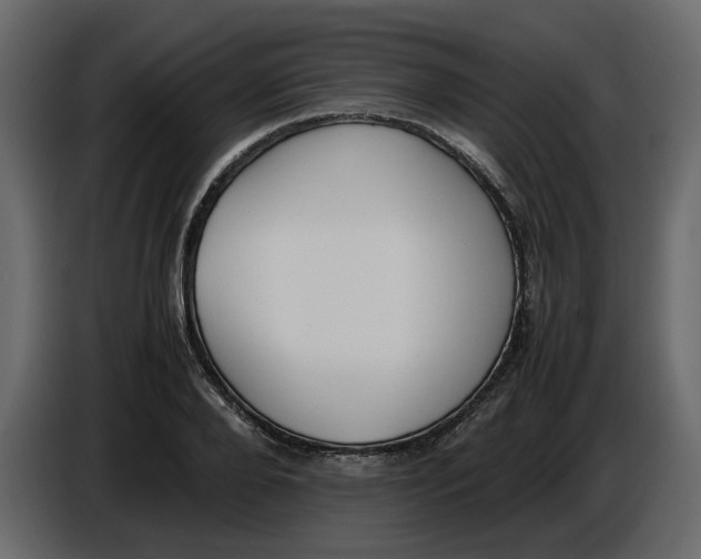 X0000086910888200705071301