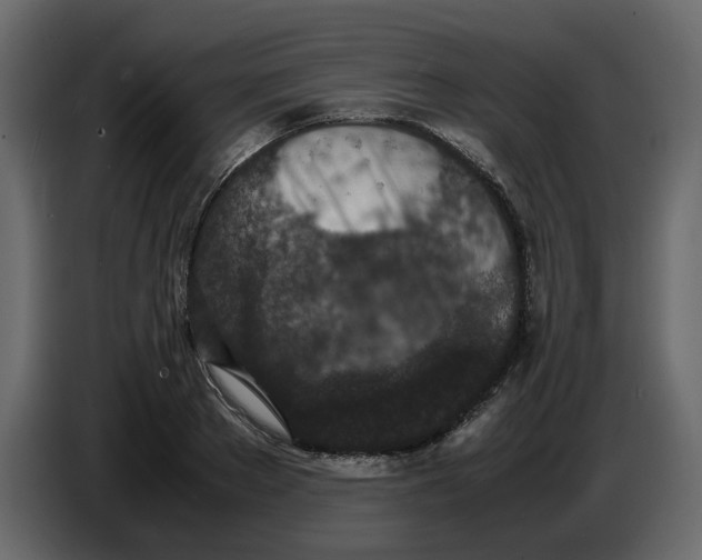 X0000086910889200705071301