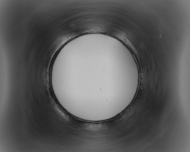 X0000086910890200705071301