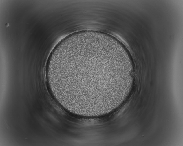 X0000086910891200705071301