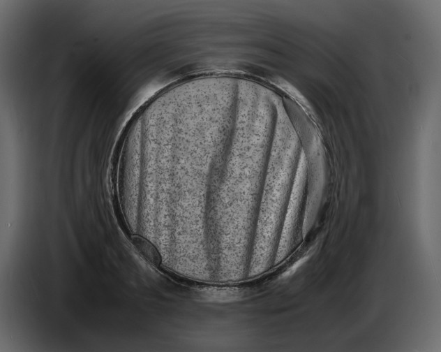 X0000086910893200705071301