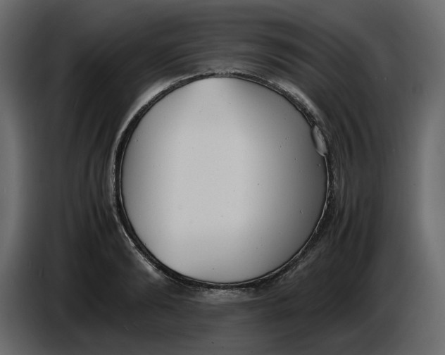 X0000086910894200705071301