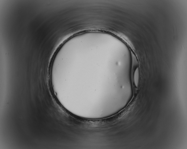 X0000086910895200705071301