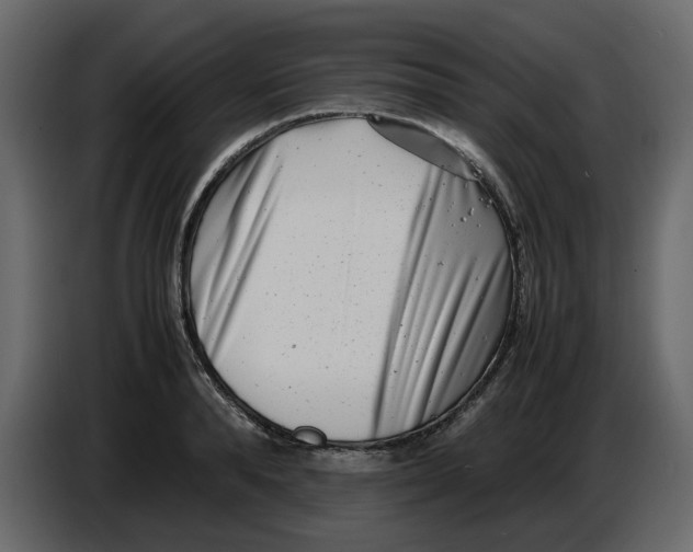 X0000086910896200705071301