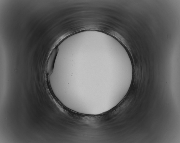 X0000086910898200705071301