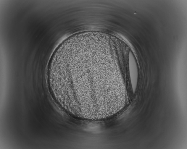 X0000086910899200705071301