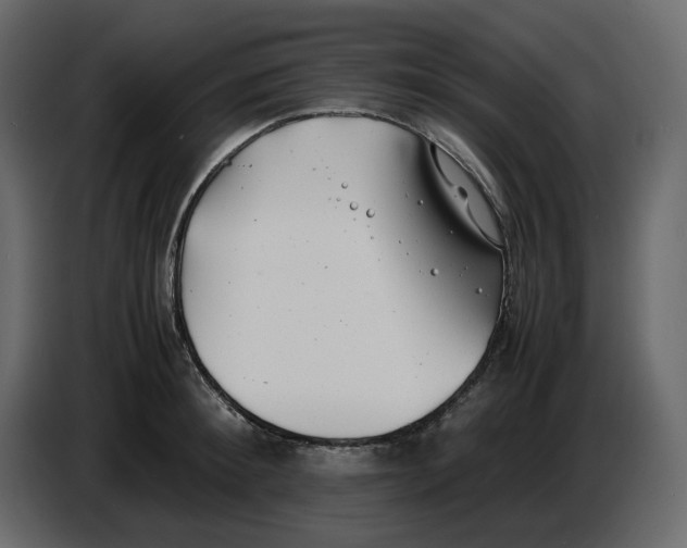 X0000086910900200705071301