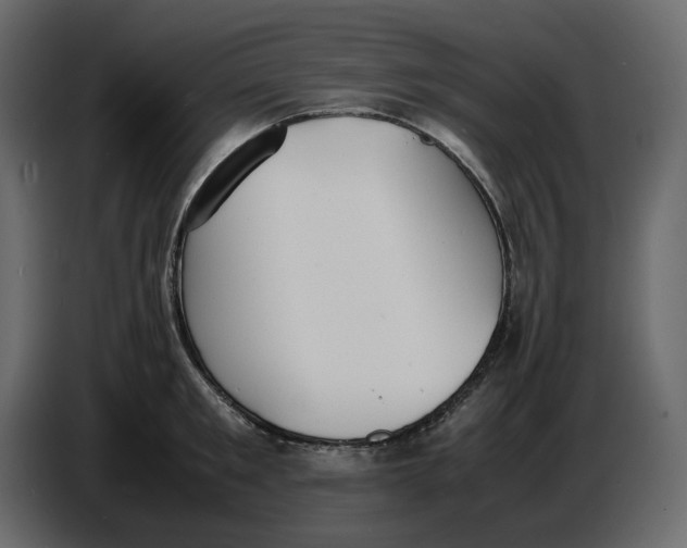 X0000086910901200705071301