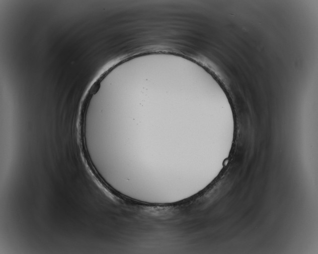 X0000086910902200705071301