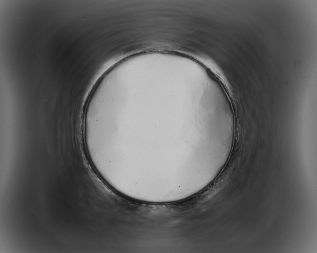 X0000086910903200705071301