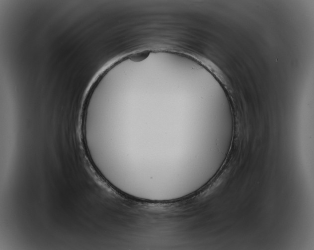 X0000086910904200705071301