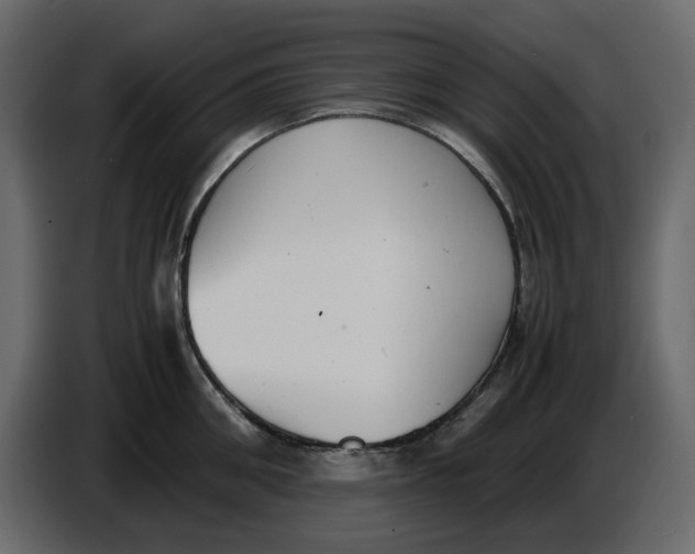 X0000086910906200705071301