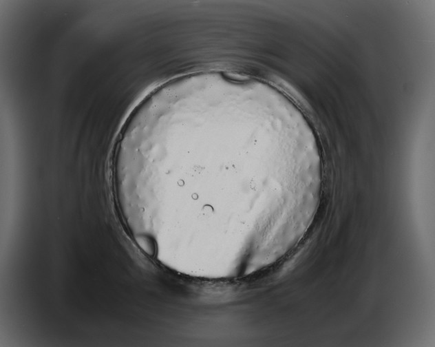 X0000086910907200705071301