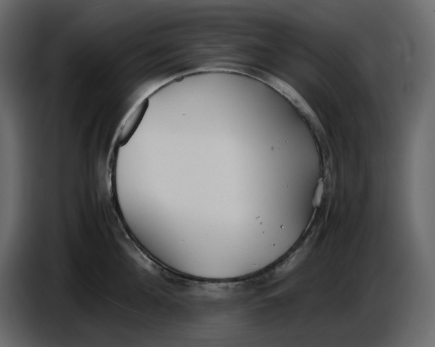 X0000086910908200705071301