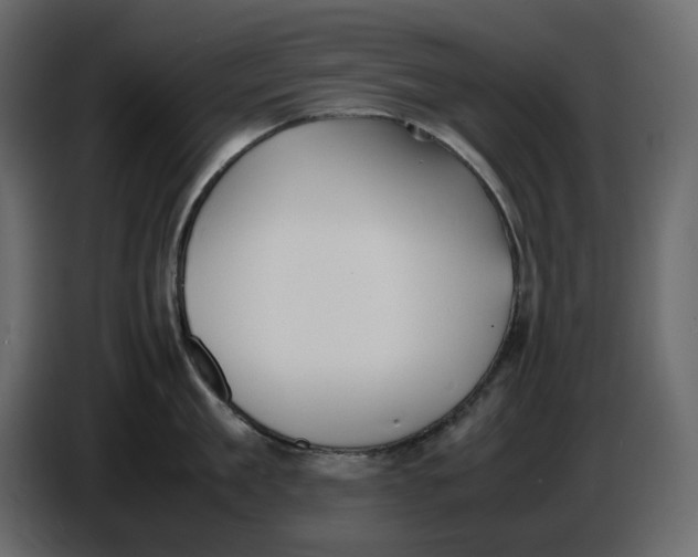 X0000086910909200705071301