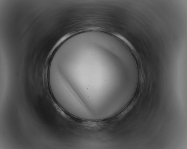 X0000086910910200705071301