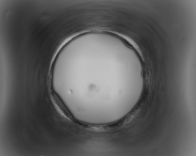 X0000086910911200705071301