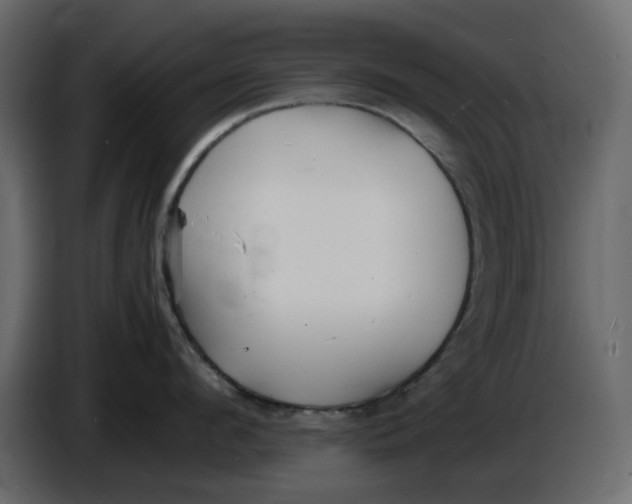 X0000086910912200705071301