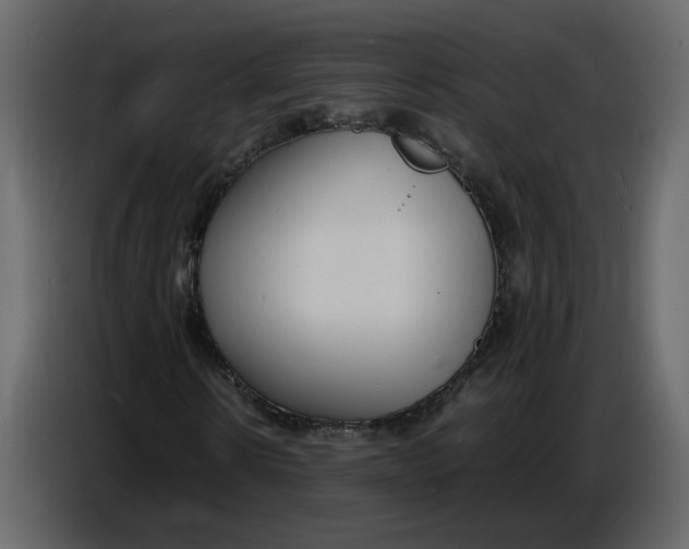 X0000086910914200705071300