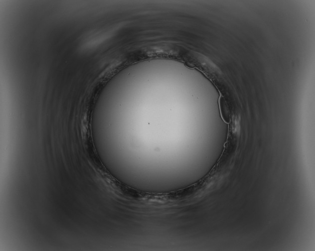 X0000086910915200705071300