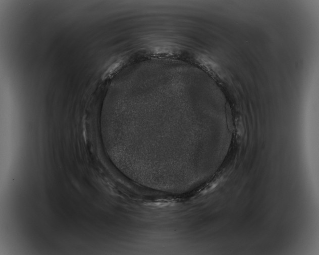 X0000086910916200705071300