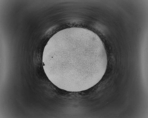 X0000086910918200705071300