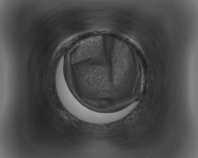 X0000086910920200705071300