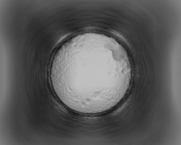 X0000086910921200705071300