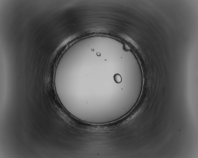 X0000086910922200705071300