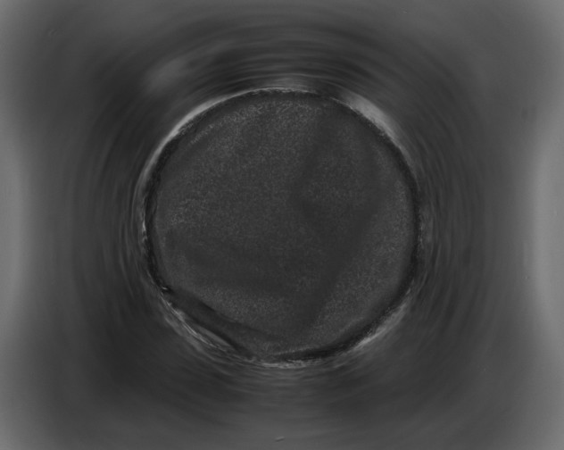 X0000086910923200705071300