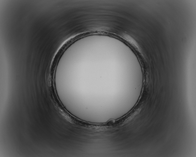 X0000086910924200705071300