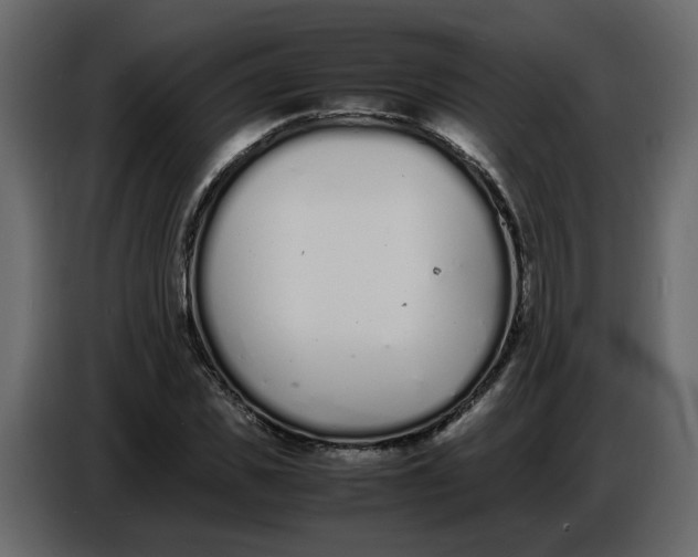 X0000086910925200705071300