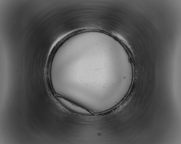 X0000086910928200705071300