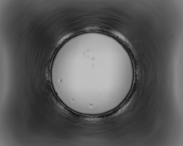 X0000086910929200705071301