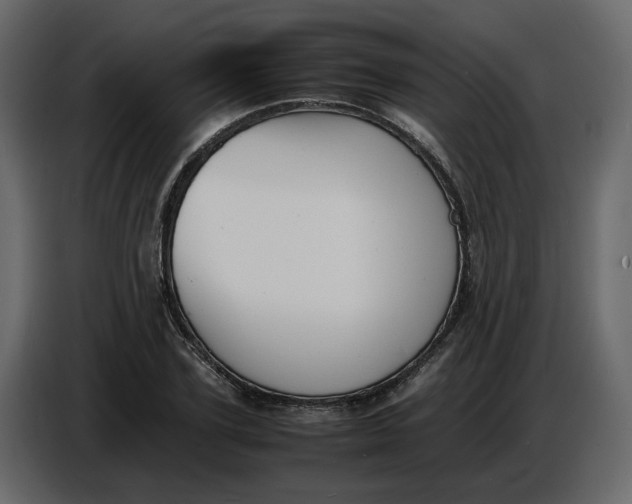 X0000086910931200705071301