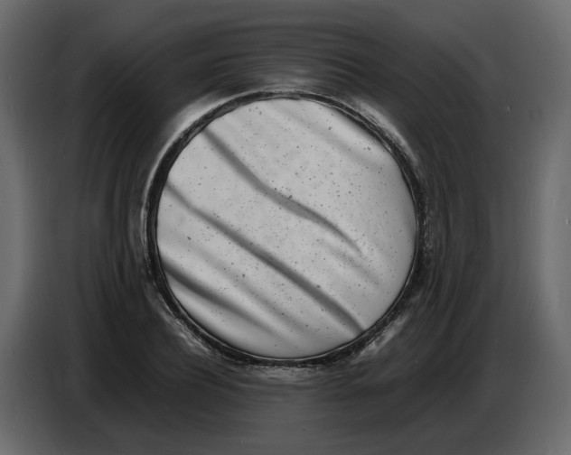 X0000086910932200705071301