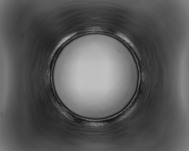 X0000086910933200705071301