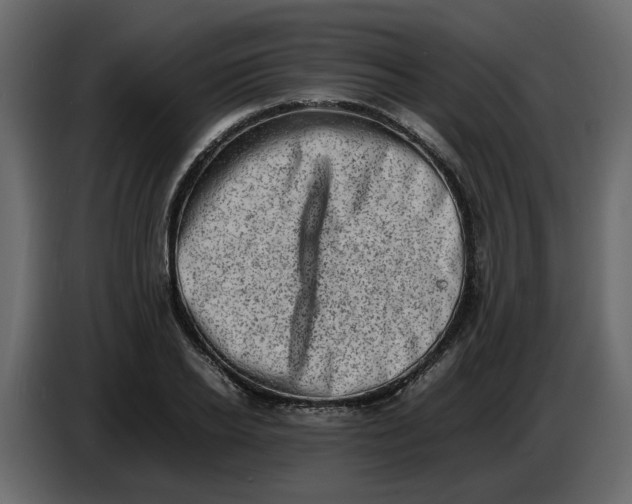 X0000086910934200705071301