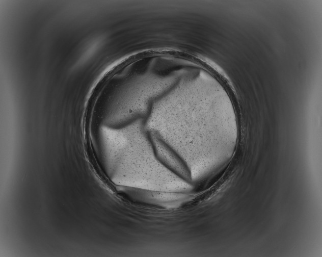 X0000086910935200705071301