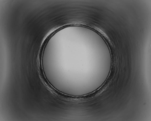 X0000086910936200705071301