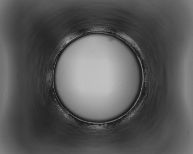 X0000086910937200705071301