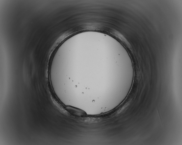 X0000086910938200705071301