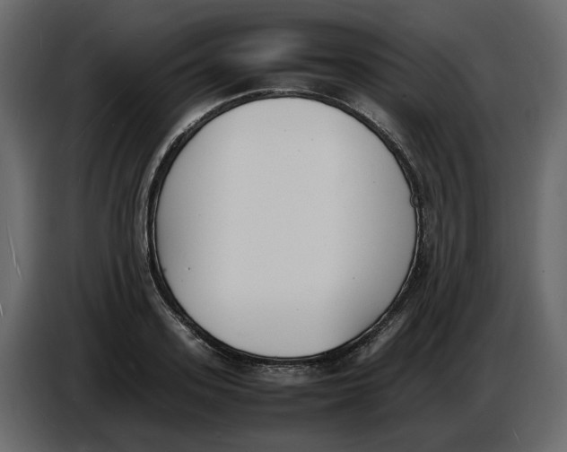 X0000086910939200705071301